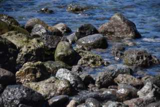 DSC_8825.JPG