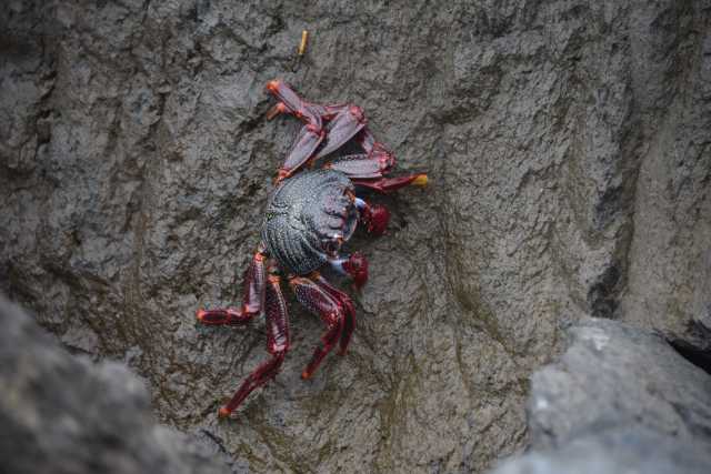 DSC_7744.JPG