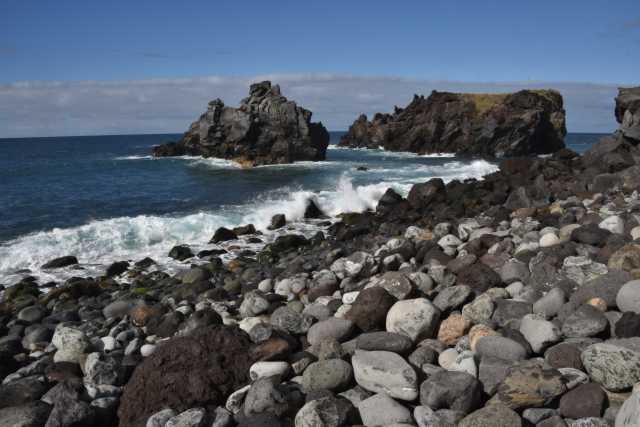 DSC_7768.JPG