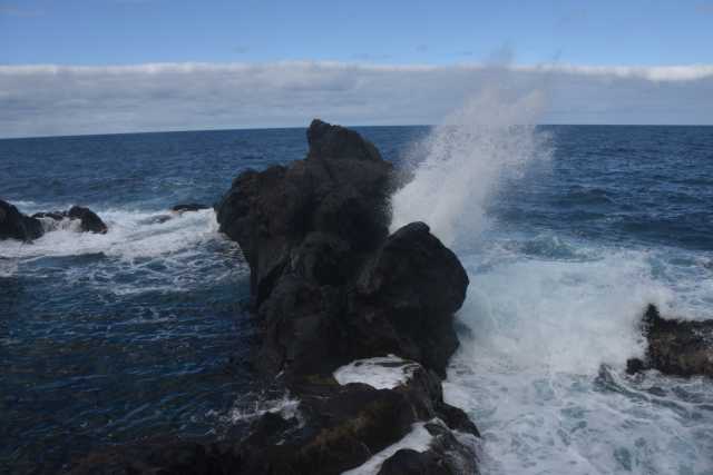 DSC_7845.JPG
