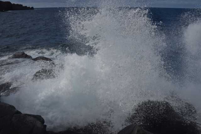 DSC_7853.JPG