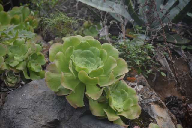 DSC_7873.JPG