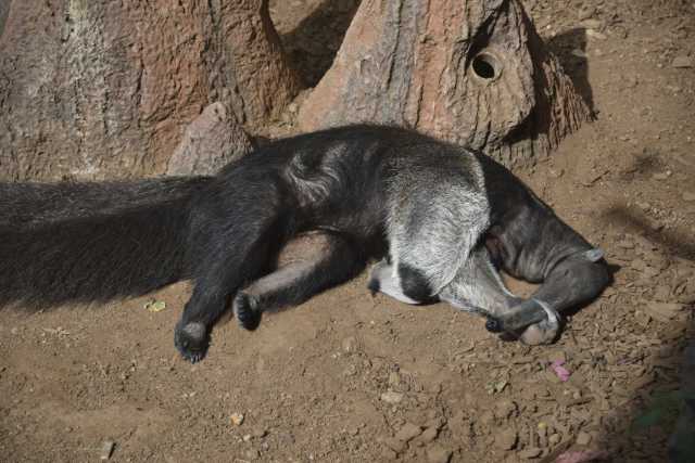 DSC_8032.JPG