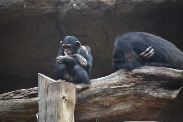 DSC_8063.JPG