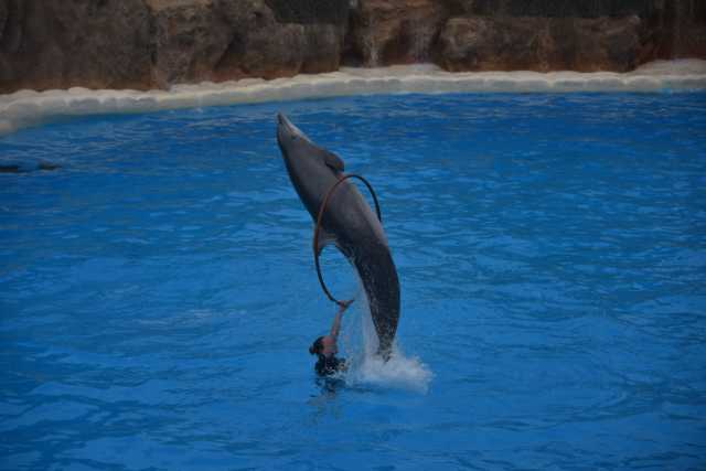 DSC_8075.JPG