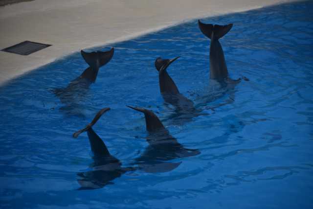 DSC_8076.JPG