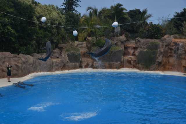 DSC_8082.JPG