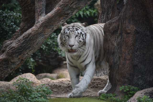 DSC_8094.JPG