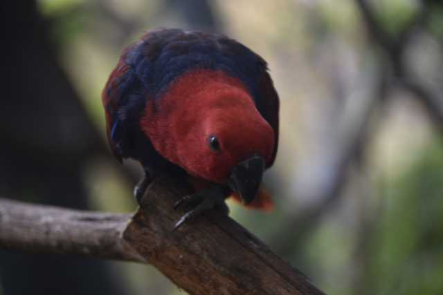 DSC_8282.JPG