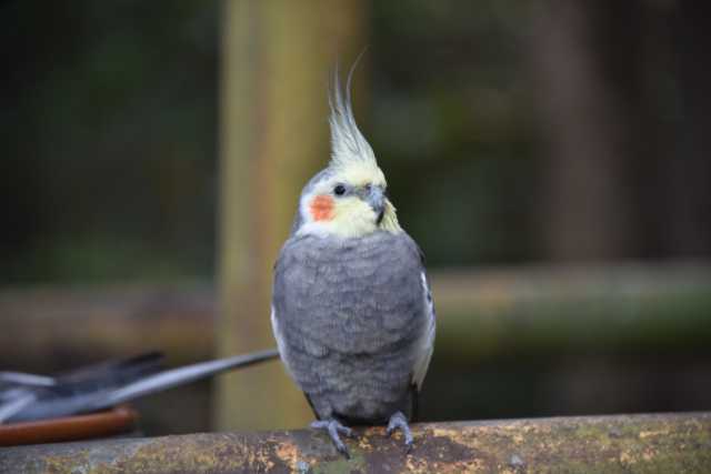 DSC_8310.JPG