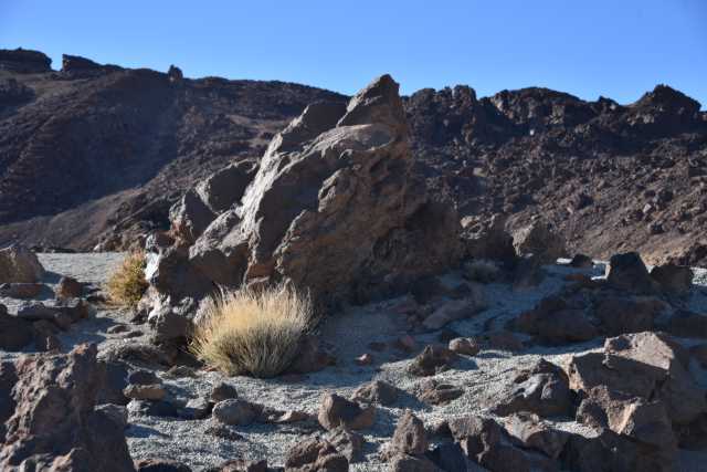 DSC_8663.JPG