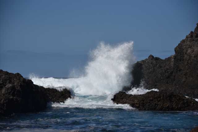 DSC_8819.JPG