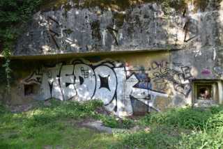 DSC_8980.JPG