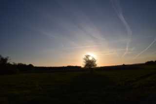 DSC_8987.JPG