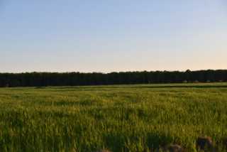 DSC_8989.JPG
