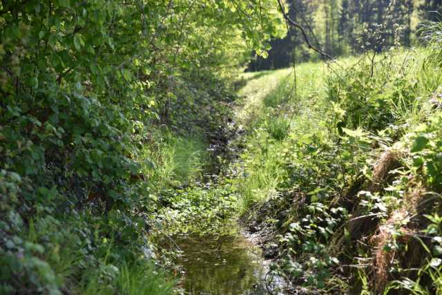 DSC_8957.JPG