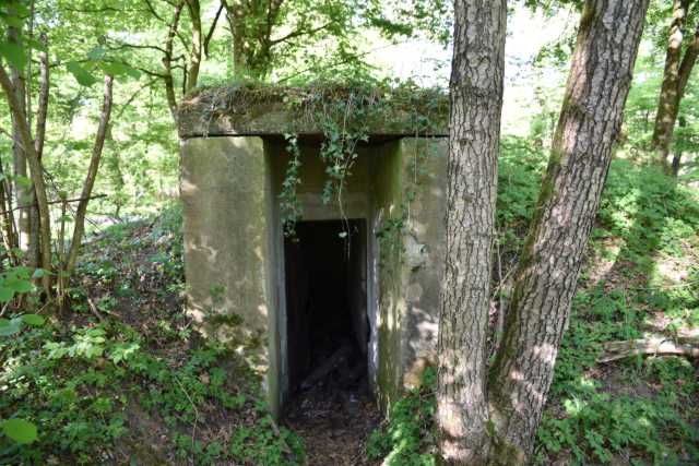 DSC_8975.JPG