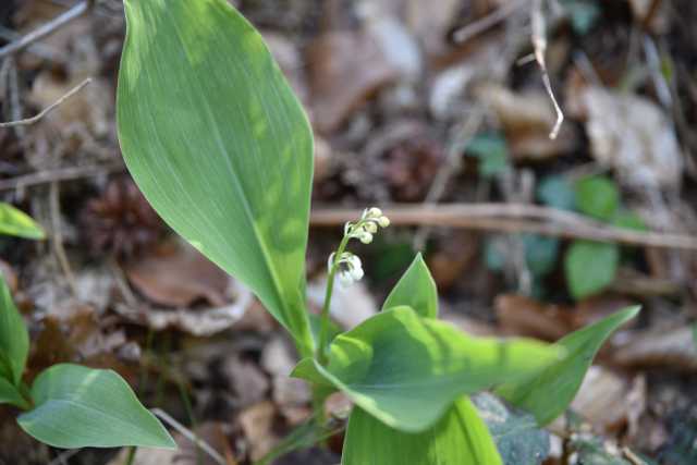 DSC_8977.JPG