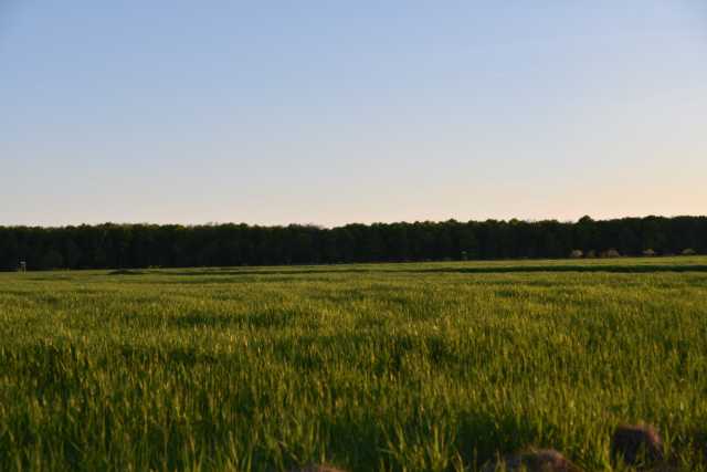 DSC_8989.JPG
