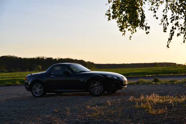 DSC_8992.JPG