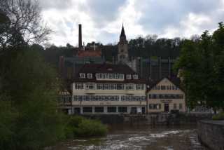 DSC_9003.JPG