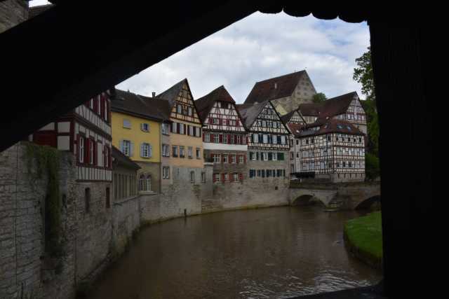 DSC_9004.JPG