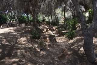 DSC_9257.JPG