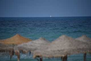 DSC_9309.JPG