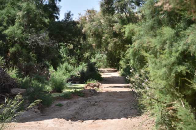 DSC_9265.JPG
