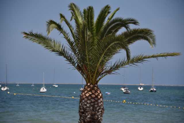 DSC_9320.JPG