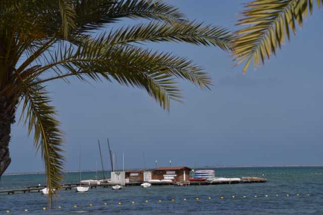 DSC_9340.JPG