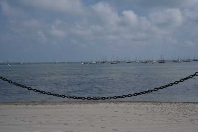 DSC_9348.JPG