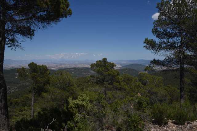 DSC_9422.JPG