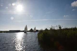 DSC_0070.JPG