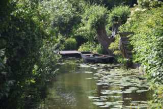 DSC_9612.JPG