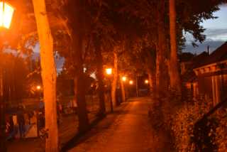 DSC_9828.JPG