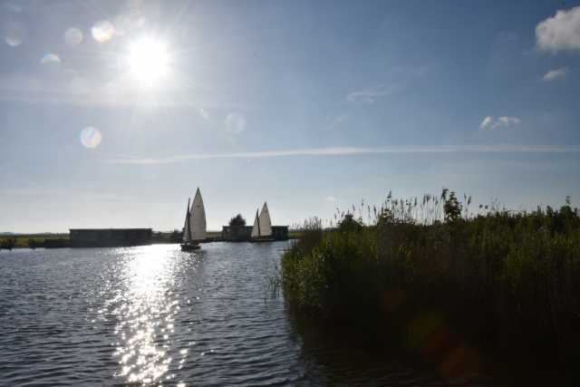 DSC_0070.JPG
