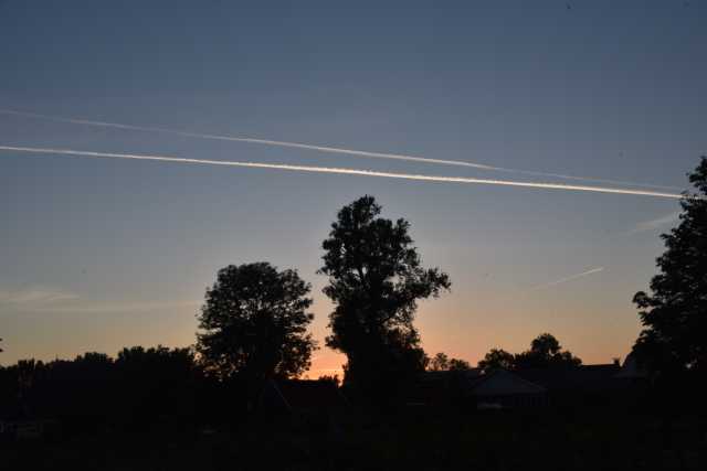 DSC_0104.JPG