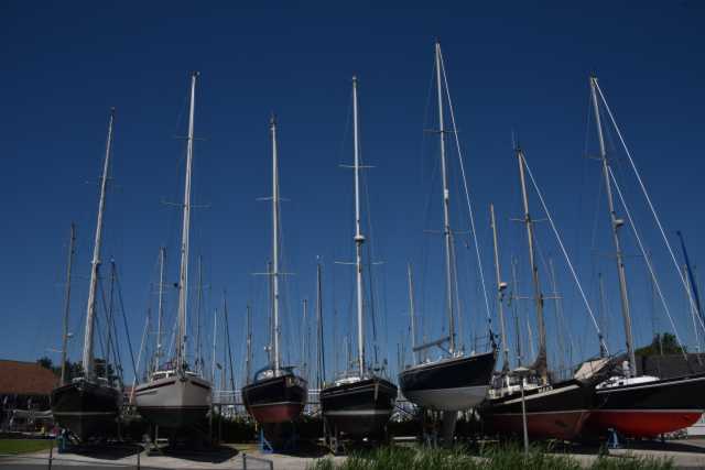 DSC_0121.JPG