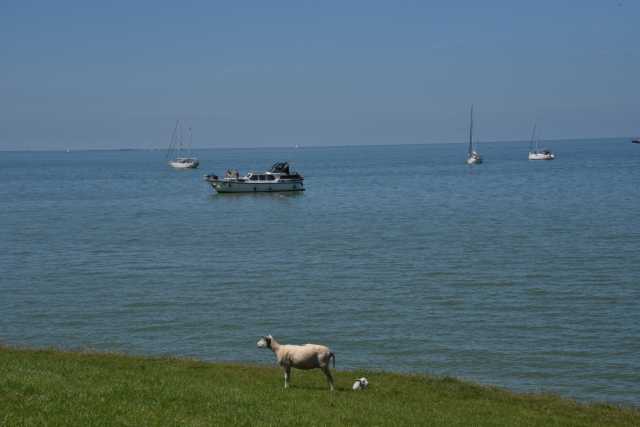 DSC_0126.JPG