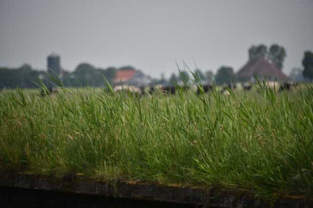 DSC_9568.JPG