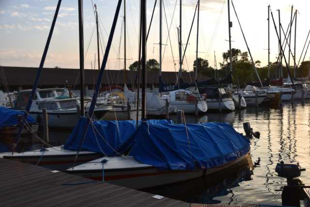 DSC_9649.JPG