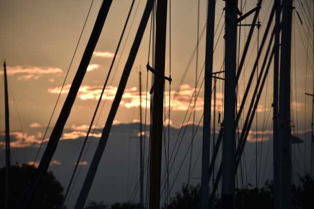 DSC_9655.JPG