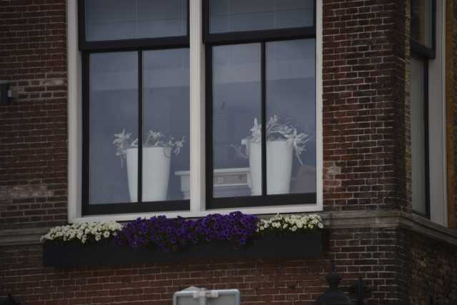 DSC_9673.JPG
