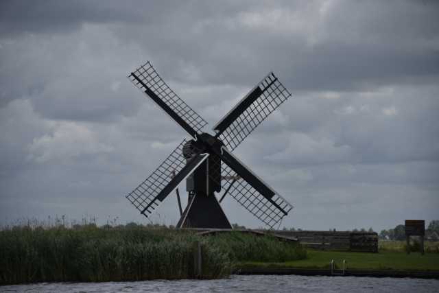 DSC_9686.JPG