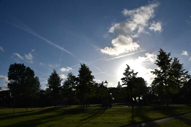 DSC_9762.JPG