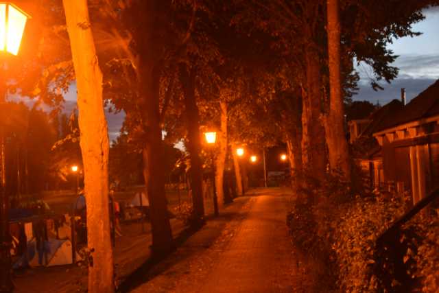 DSC_9828.JPG