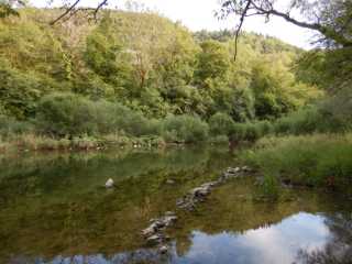 DSCN0017.JPG