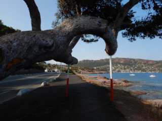 DSCN0125.JPG