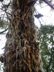 DSCN0179.JPG